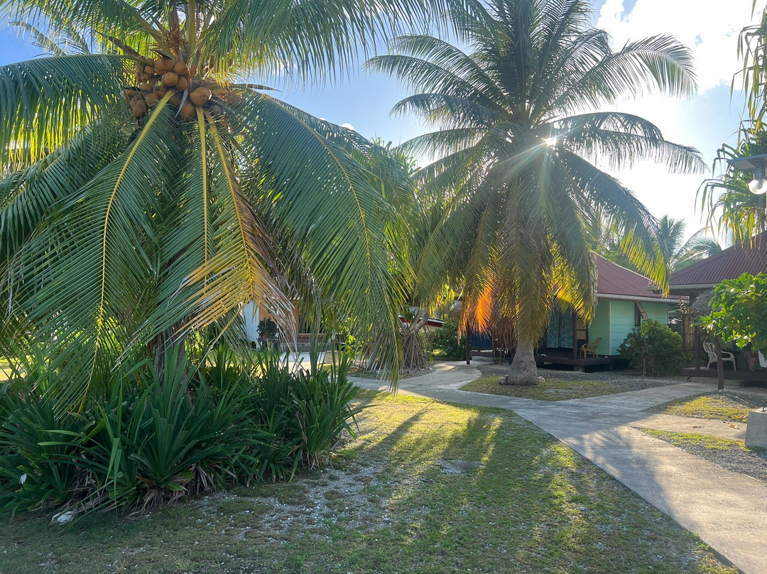 Pension Tapuheitini主图