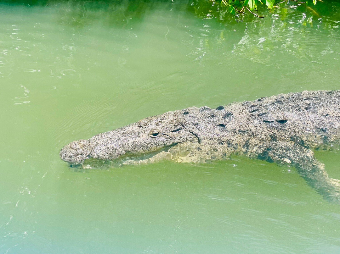 Parque Natural Ria Lagartos-里奥拉加托斯必去景点