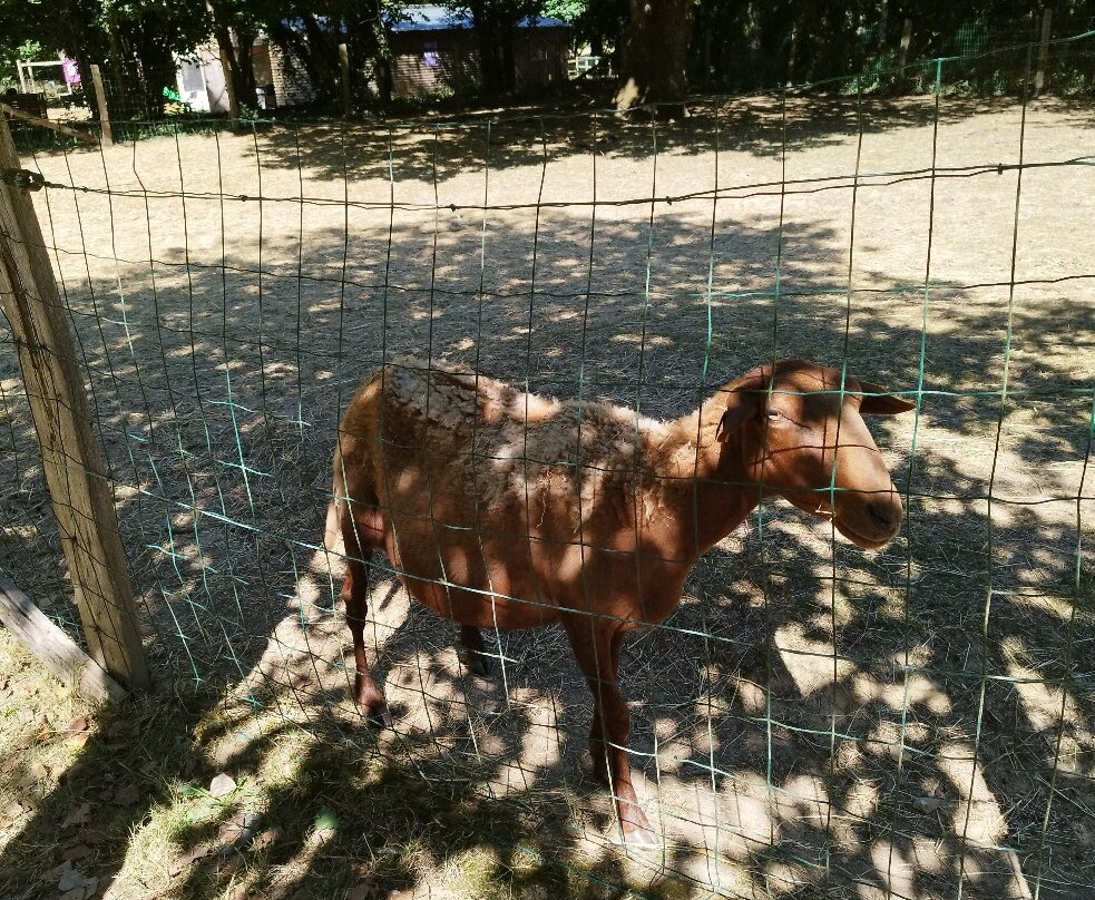 Mouton Village-Vasles必去景点