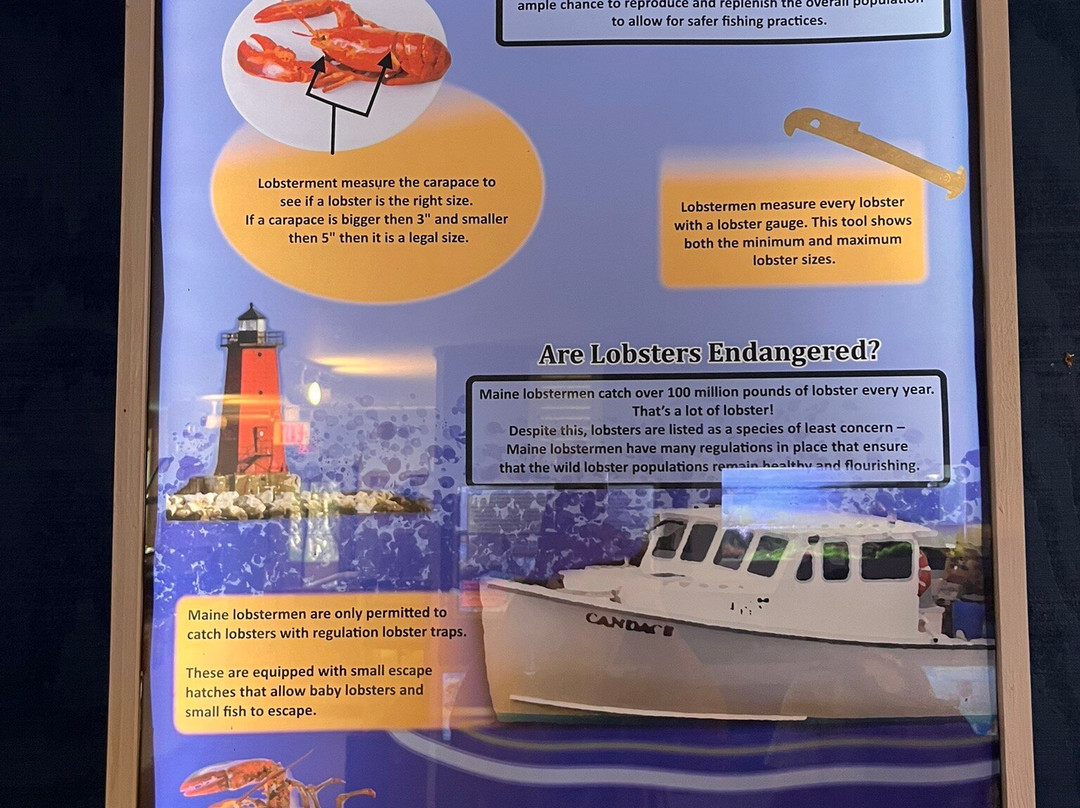 Oceanarium And Education Center-巴港必去景点