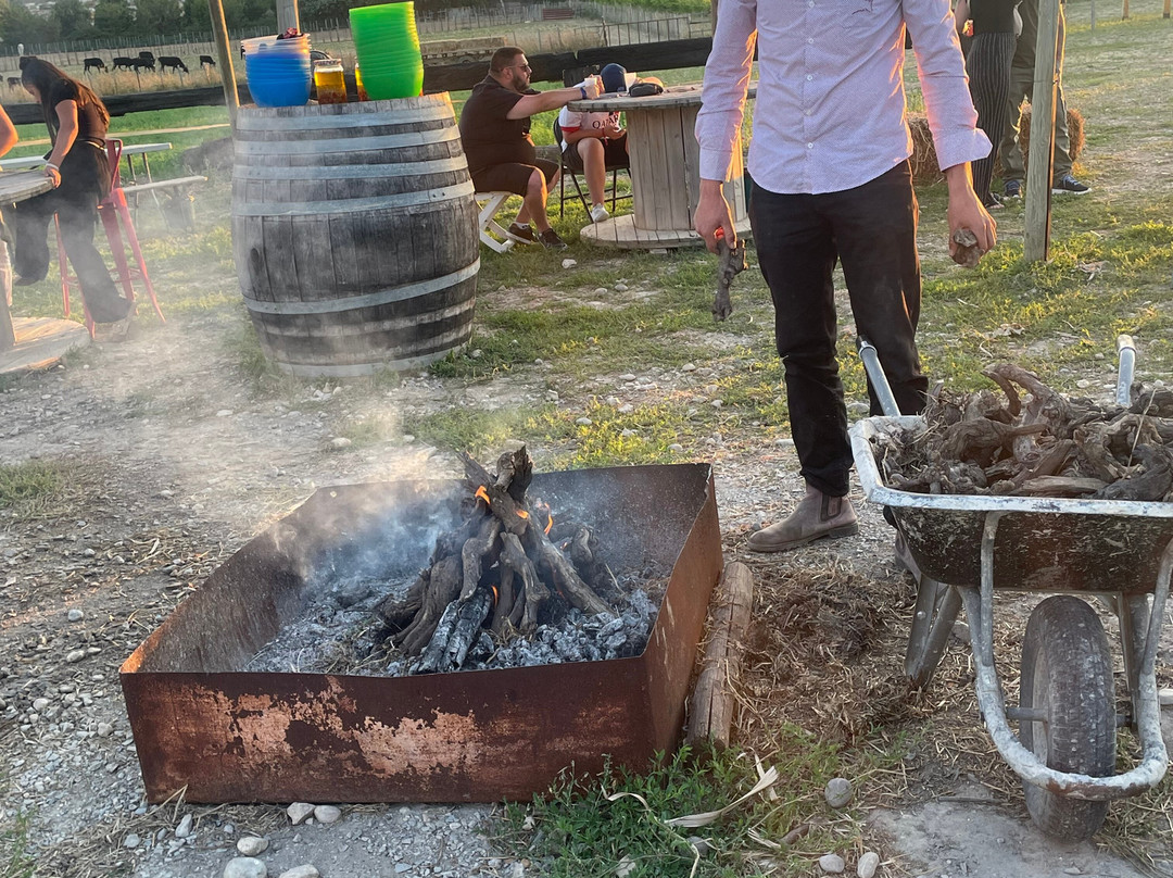 Manade Vitou de Fontmarie-Castries必去景点