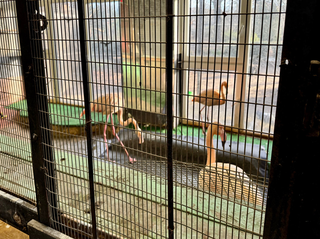 Kaliningrad Zoopark-加里宁格勒必去景点