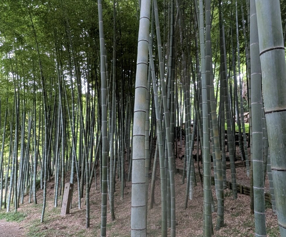 Enoura Observatory-小田原市必去景点