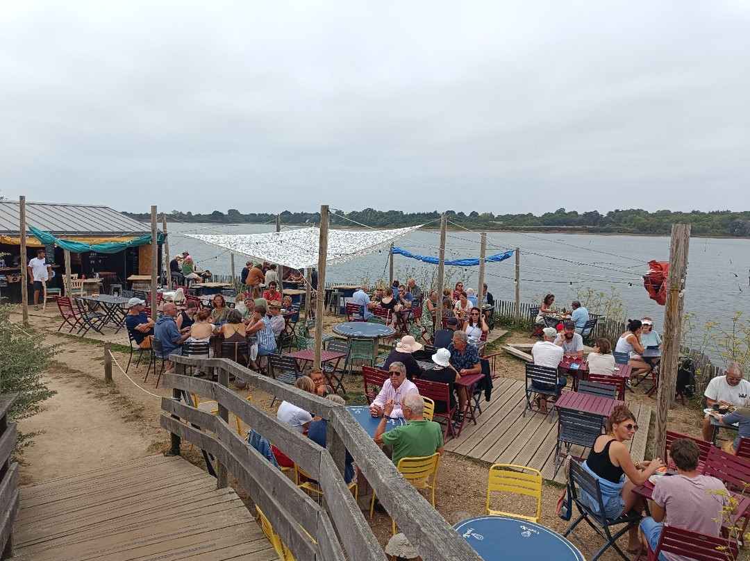 Equinoxe - Dégustation D'huîtres