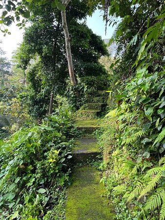 乌布玛雅度假村主图