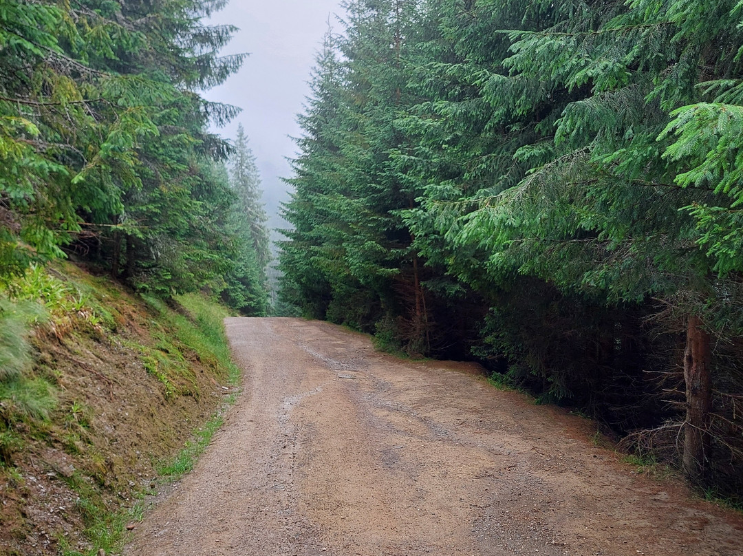 Telescaun Cascada Cailor-Statiunea Borsa必去景点