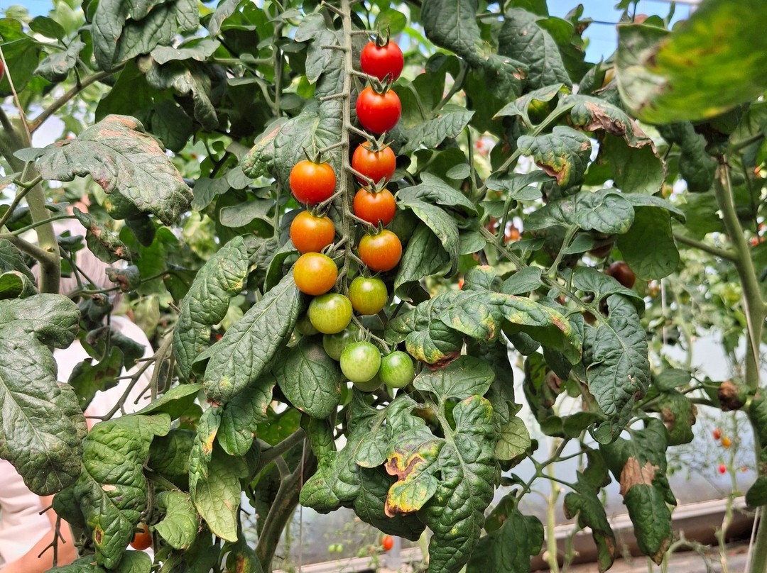 La Ferme de Rutel Cueillette-Villenoy必去景点