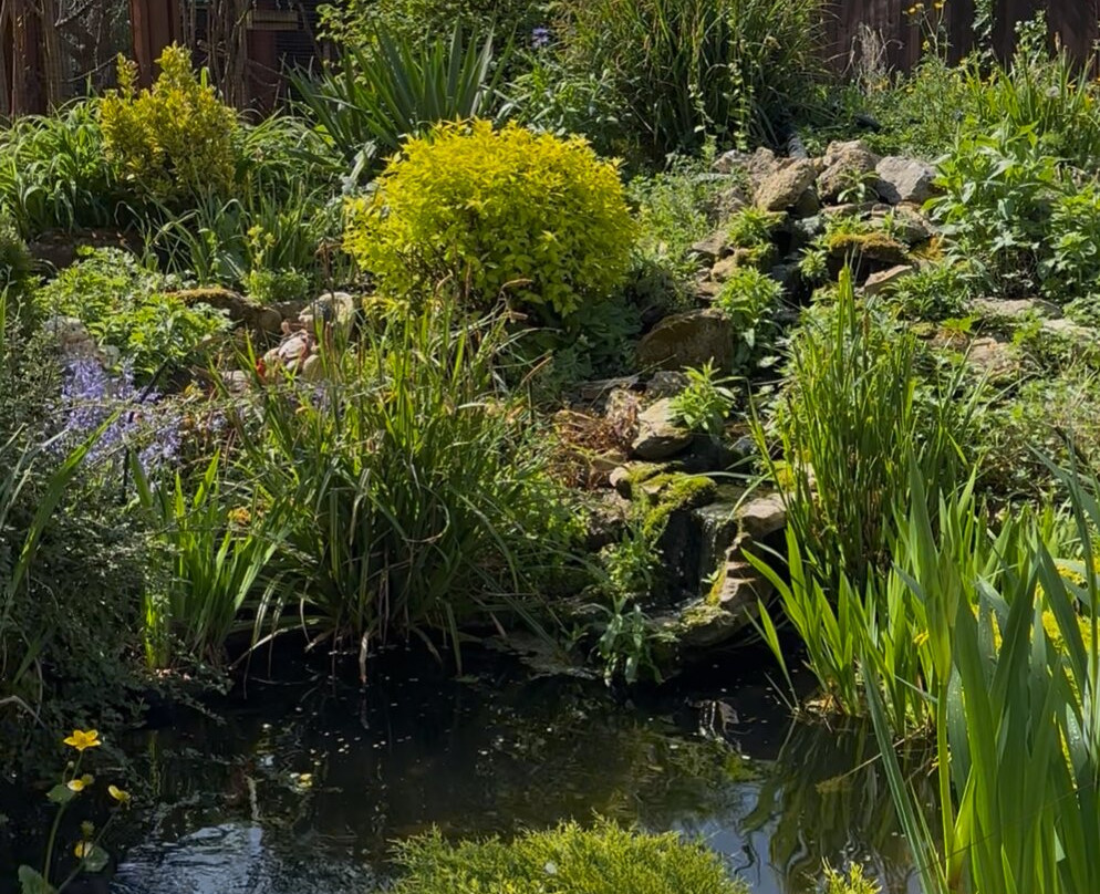 Tiggywinkles Wildlife Hospital Visitor's Centre-Haddenham必去景点