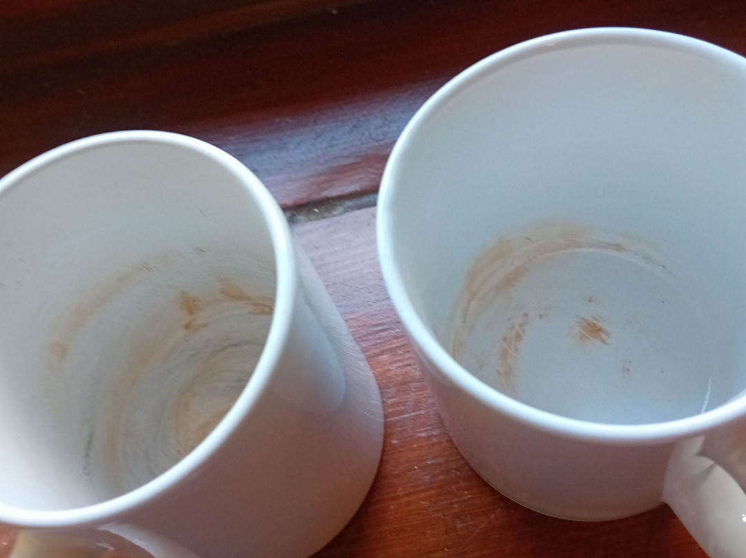 Throstle Nest Farm Bed and Breakfast主图