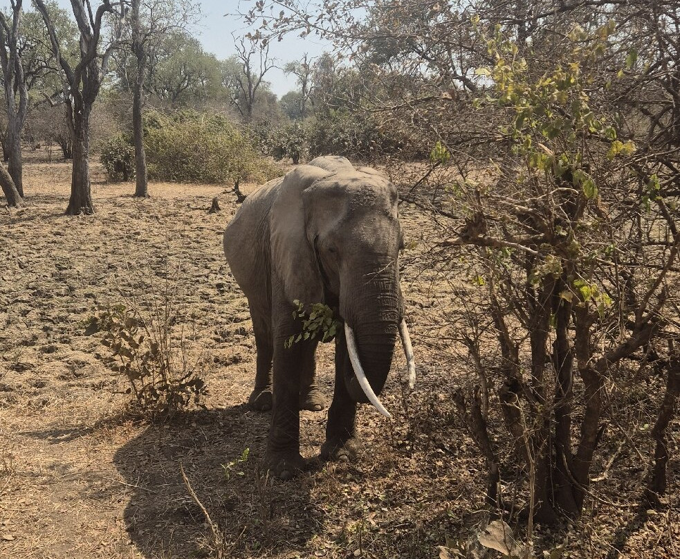 Mikango Safari-南卢安瓜国家公园必去景点