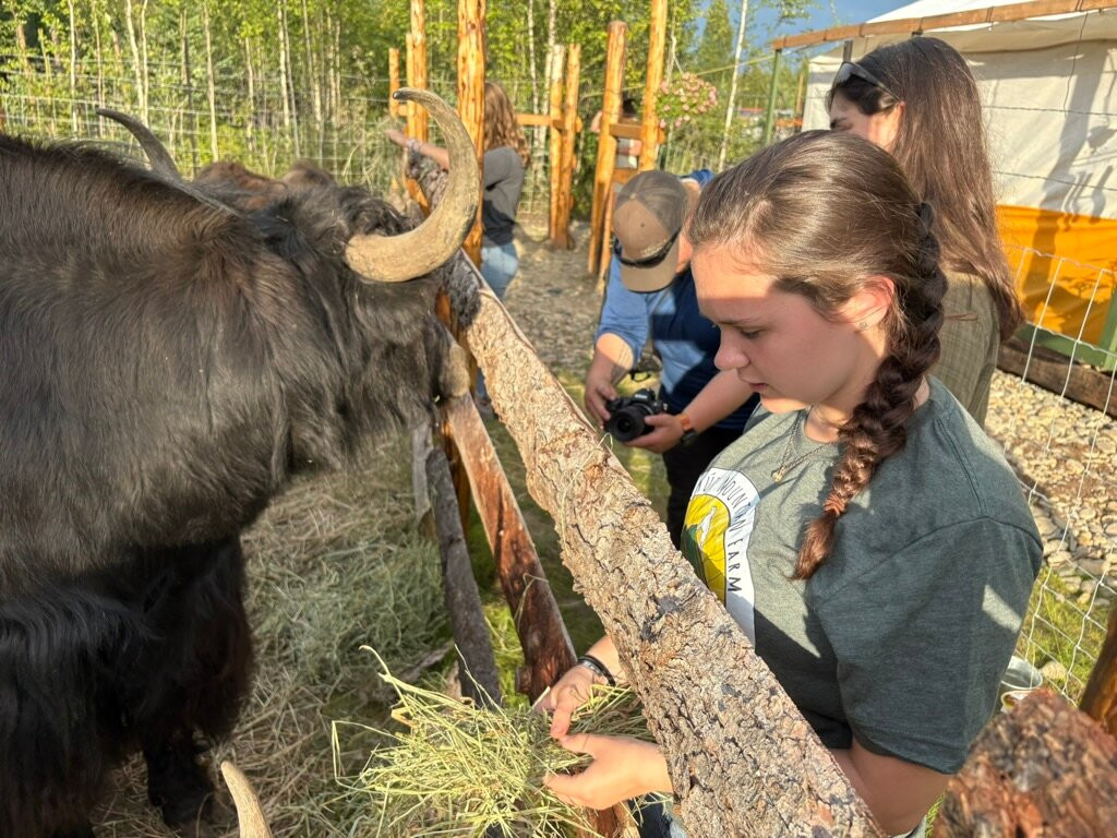Mammut Mountain Yak Farm-Two Rivers必去景点