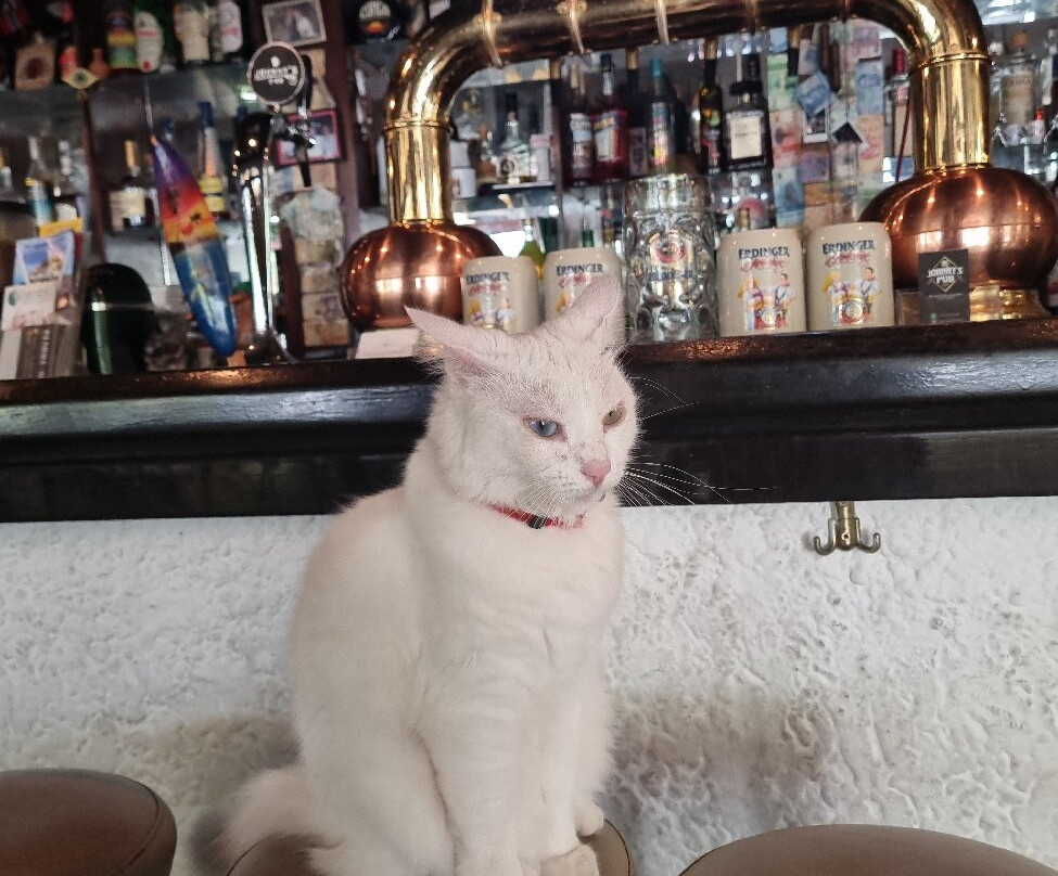 Johnny's Pub-罗德城必去景点