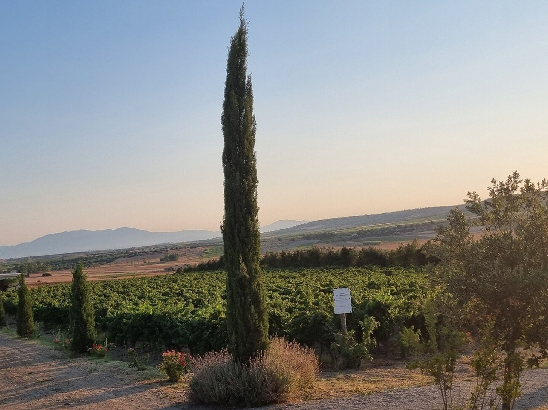 Audarya-Serdiana必去景点