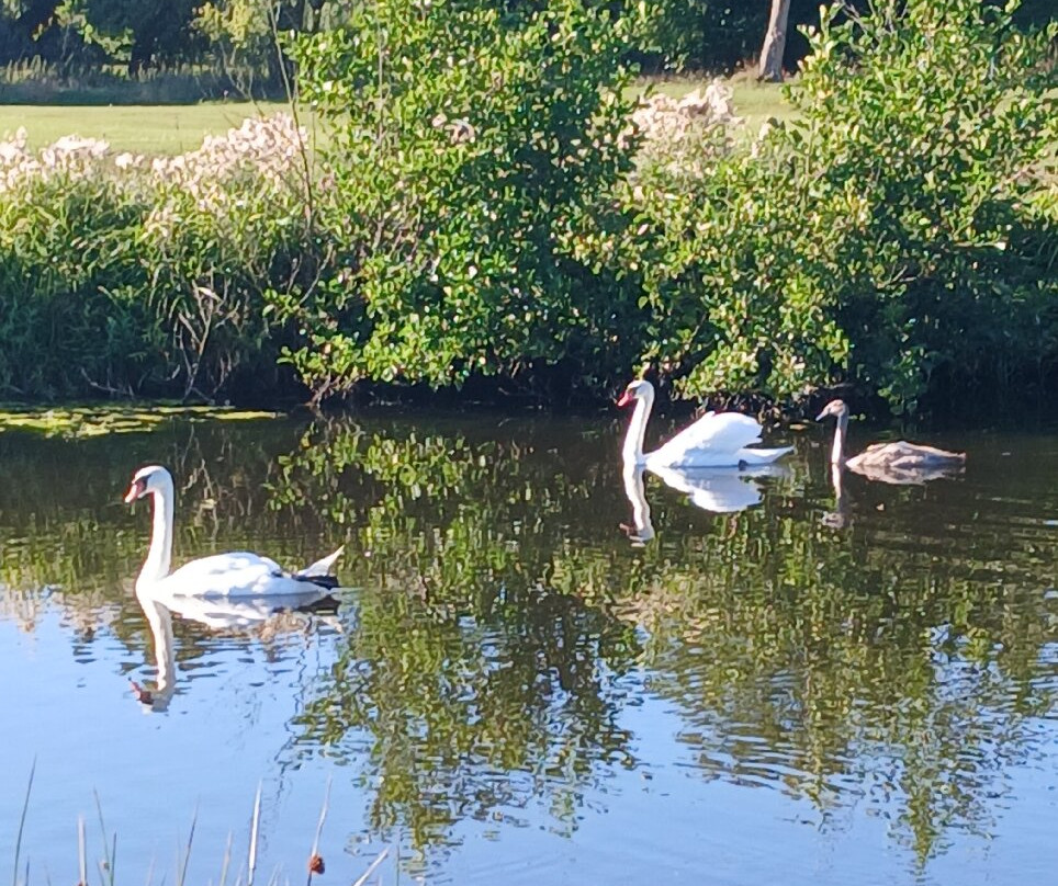 Schloss Ludersburg主图