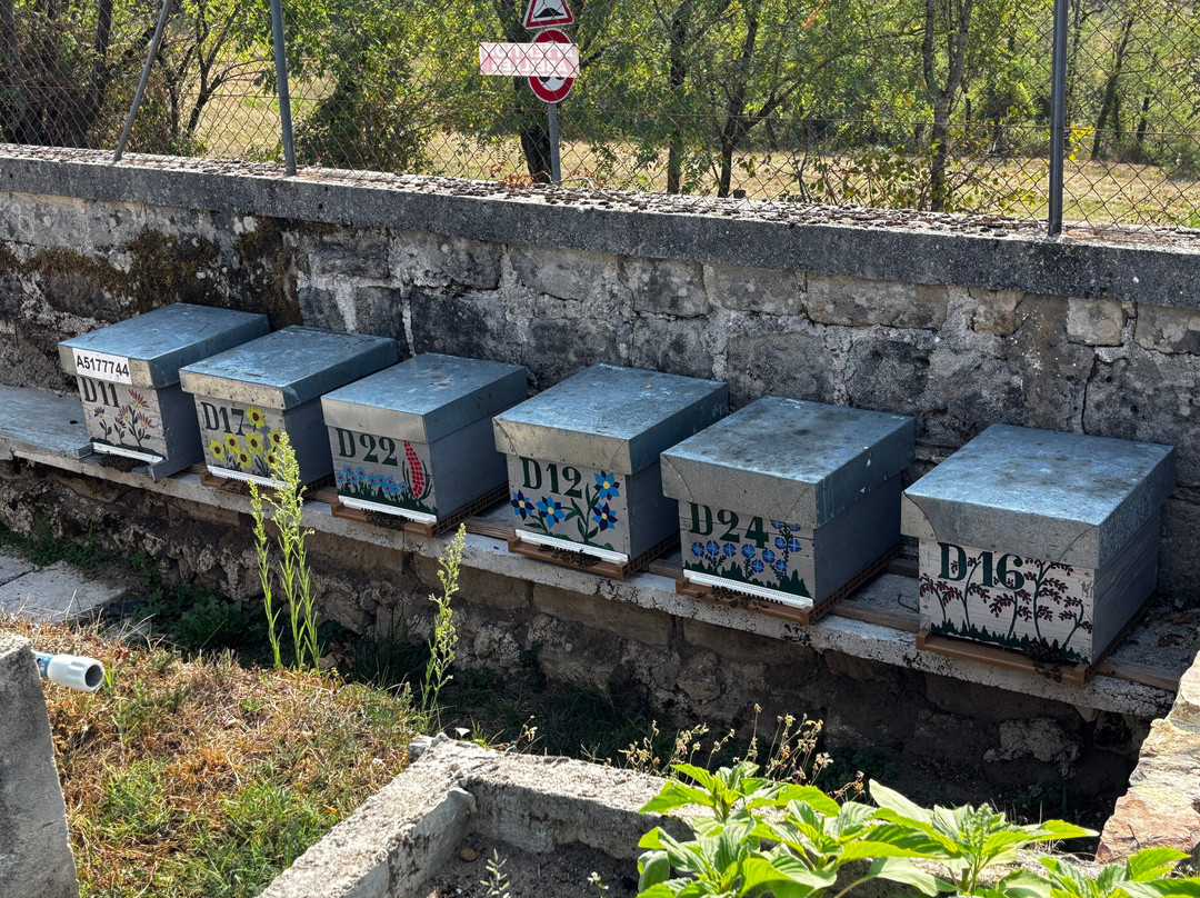 Les Dépendances Du Château主图