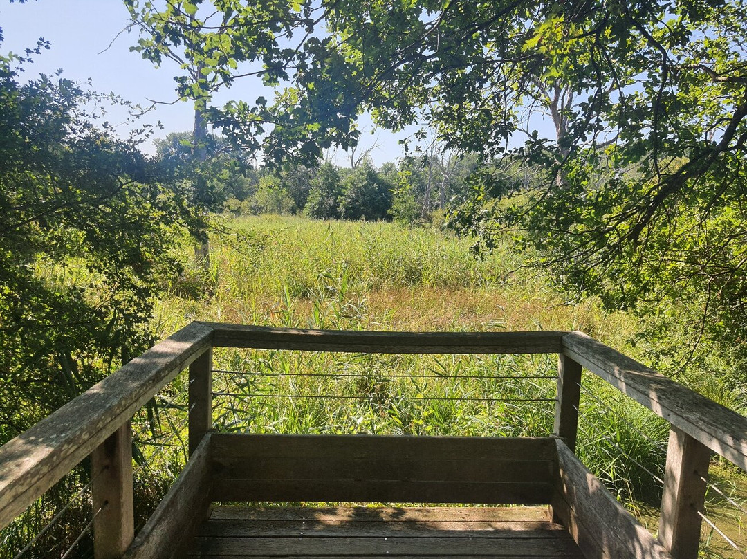 Domaine National de Chambord-香波堡必去景点