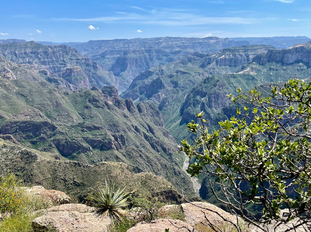 Copper Canyon Adventures-El Fuerte必去景点