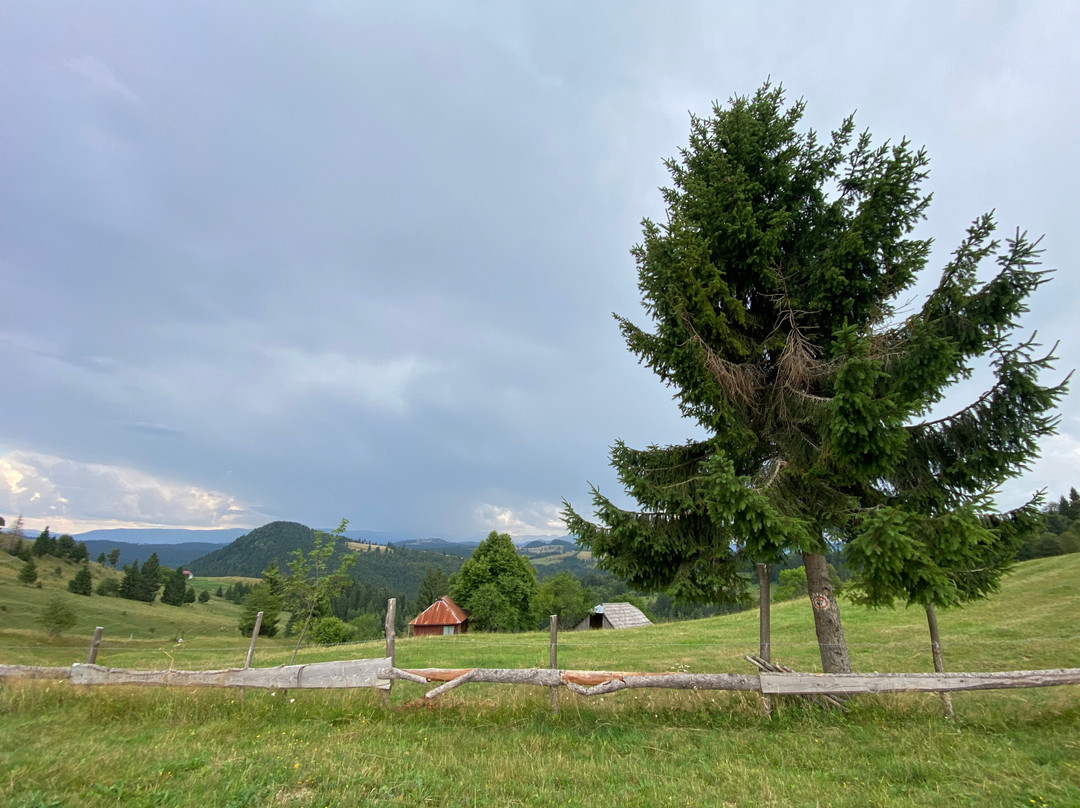 CarpatBike-布加勒斯特必去景点