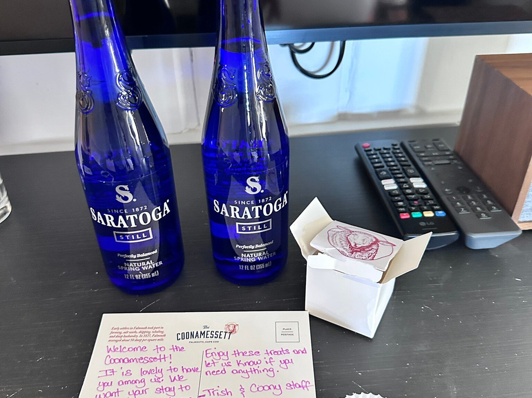 The Coonamessett主图