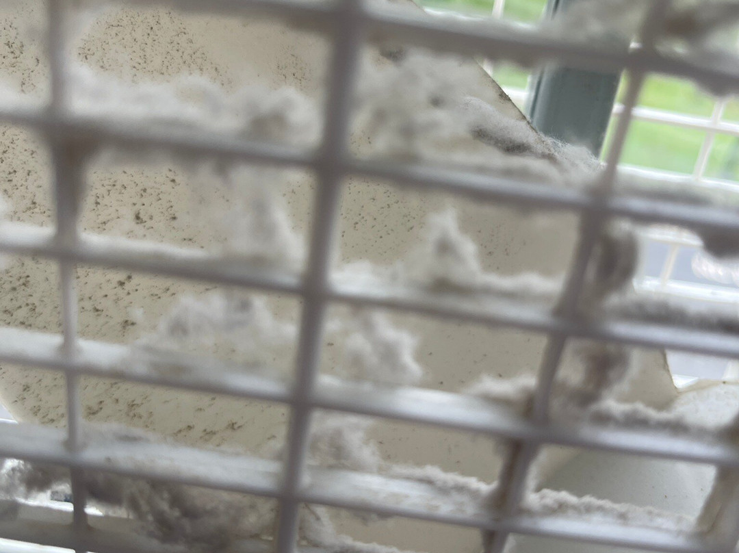 Best Western Knoxville Airport/Alcoa主图