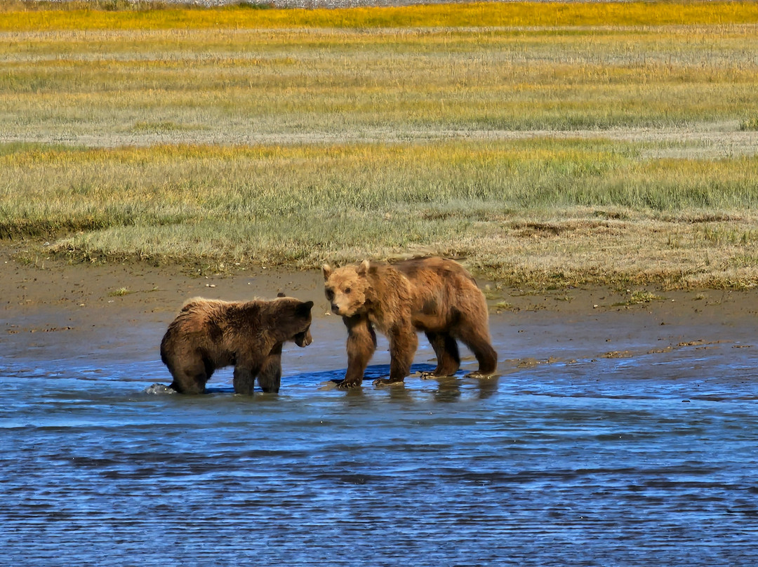 Catch A Lot Charters-荷马必去景点