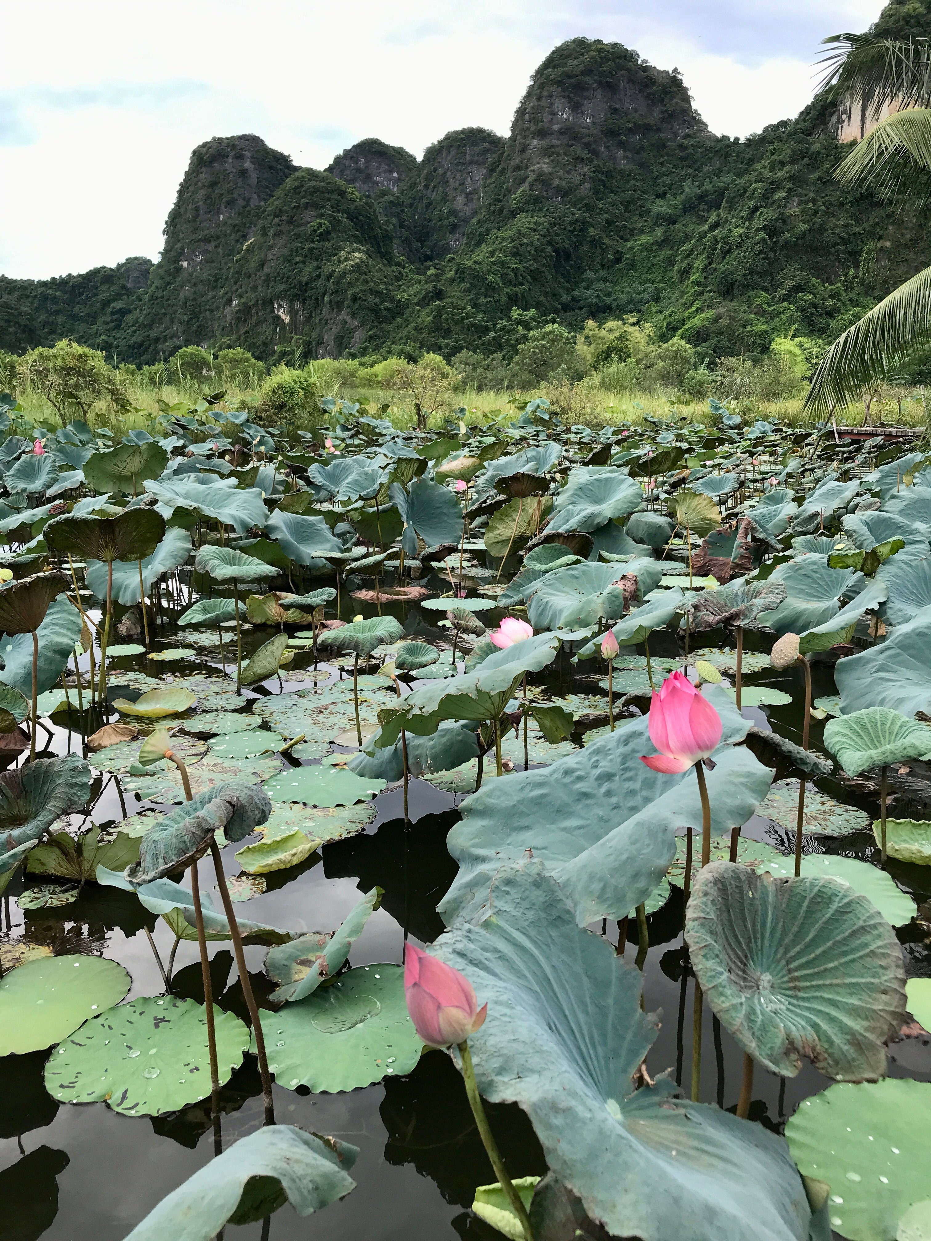 Nham Village Resort-浴室
