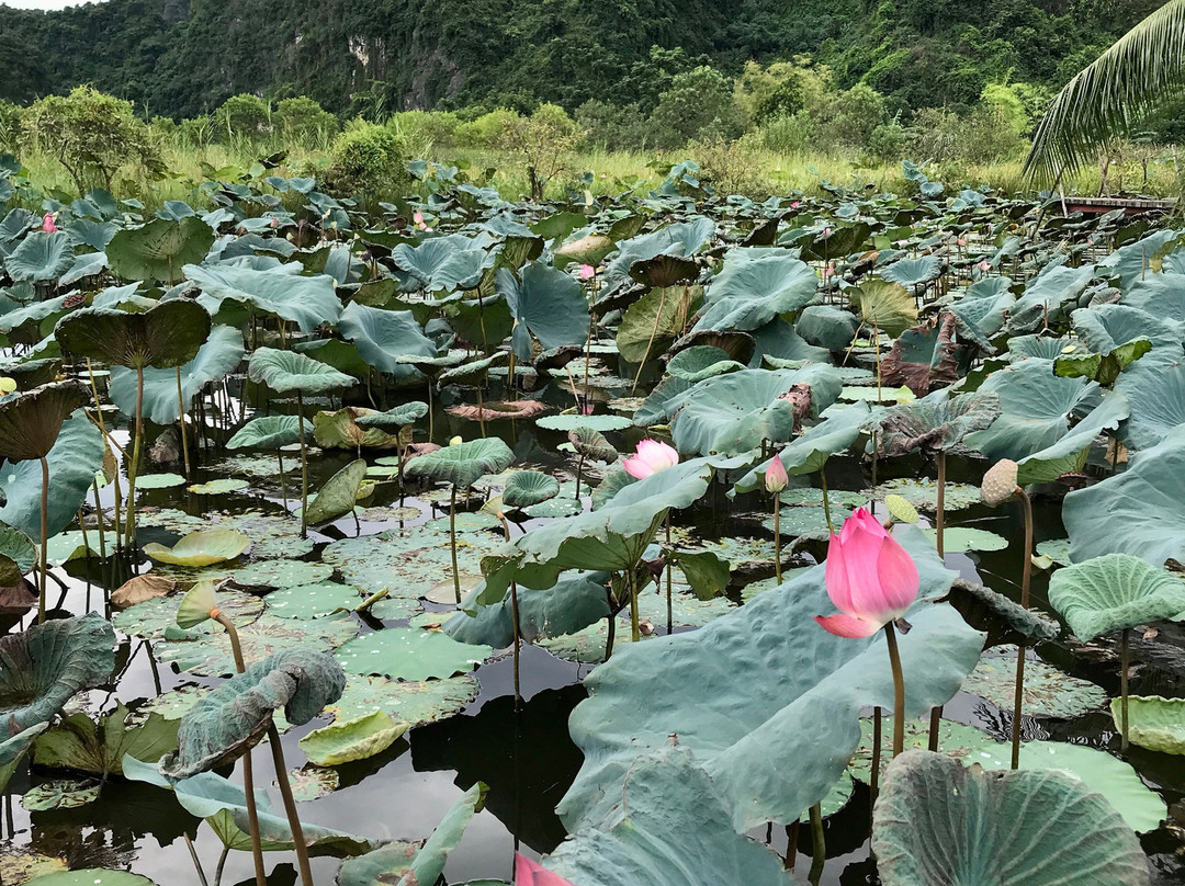 Nham Village Resort主图