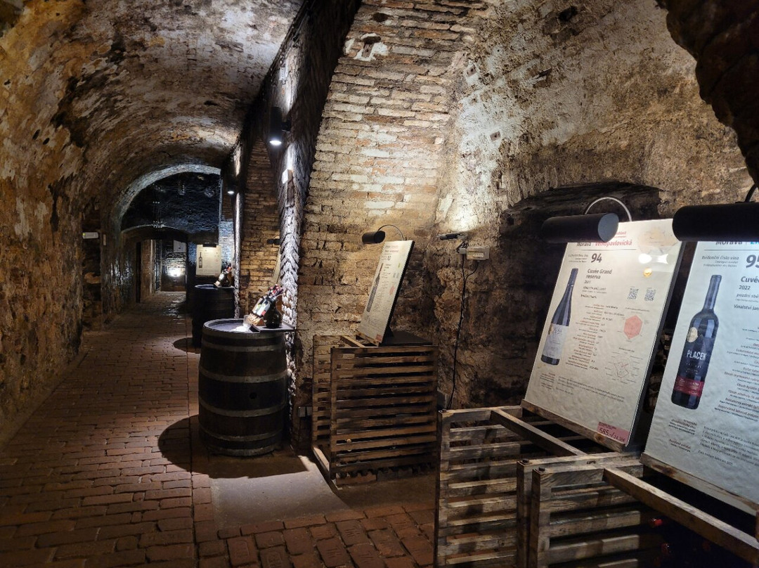 National Wine Salon (Národní salon vín)-Valtice必去景点
