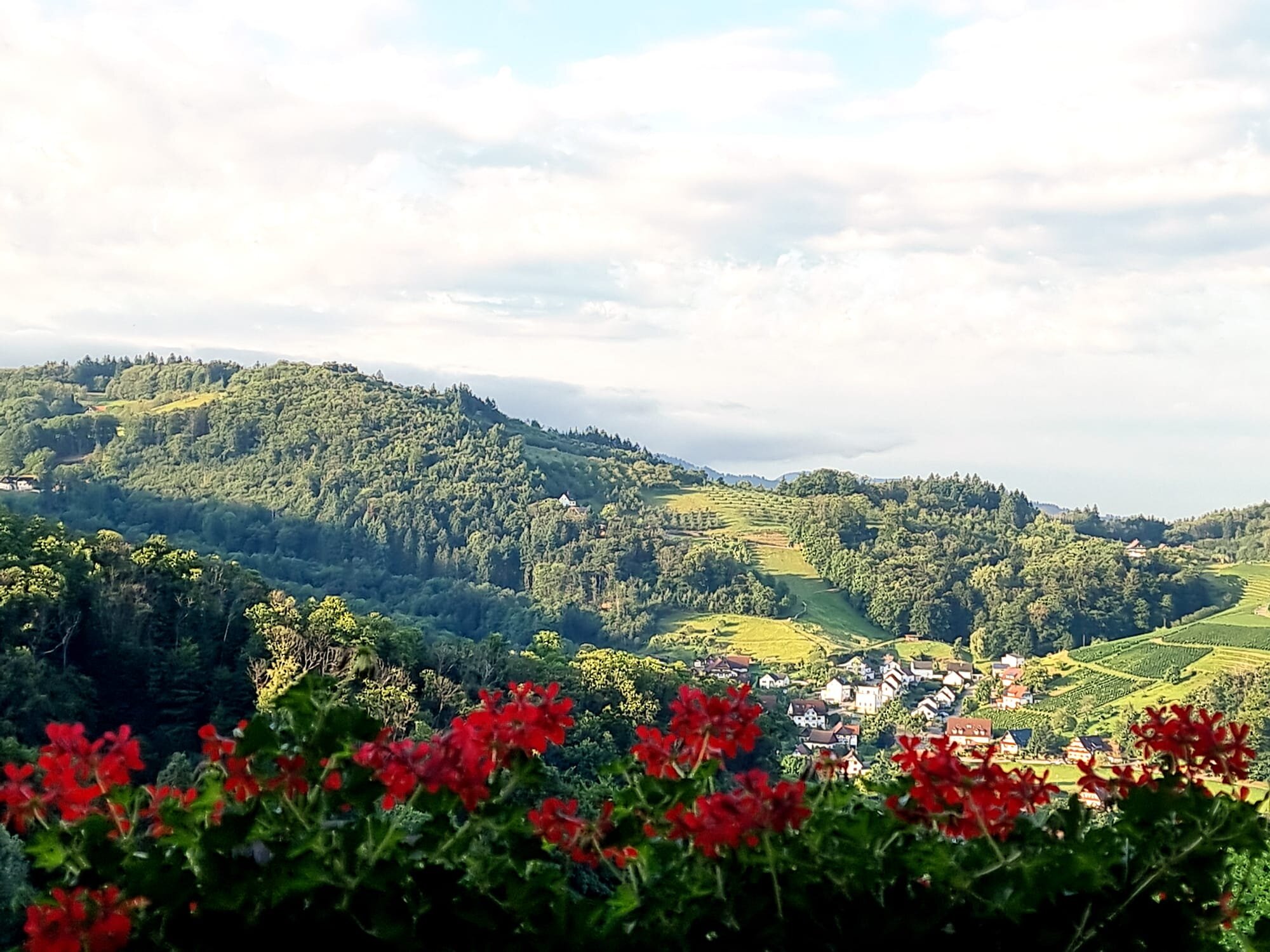 RelaxHotel Tannenhof-官方