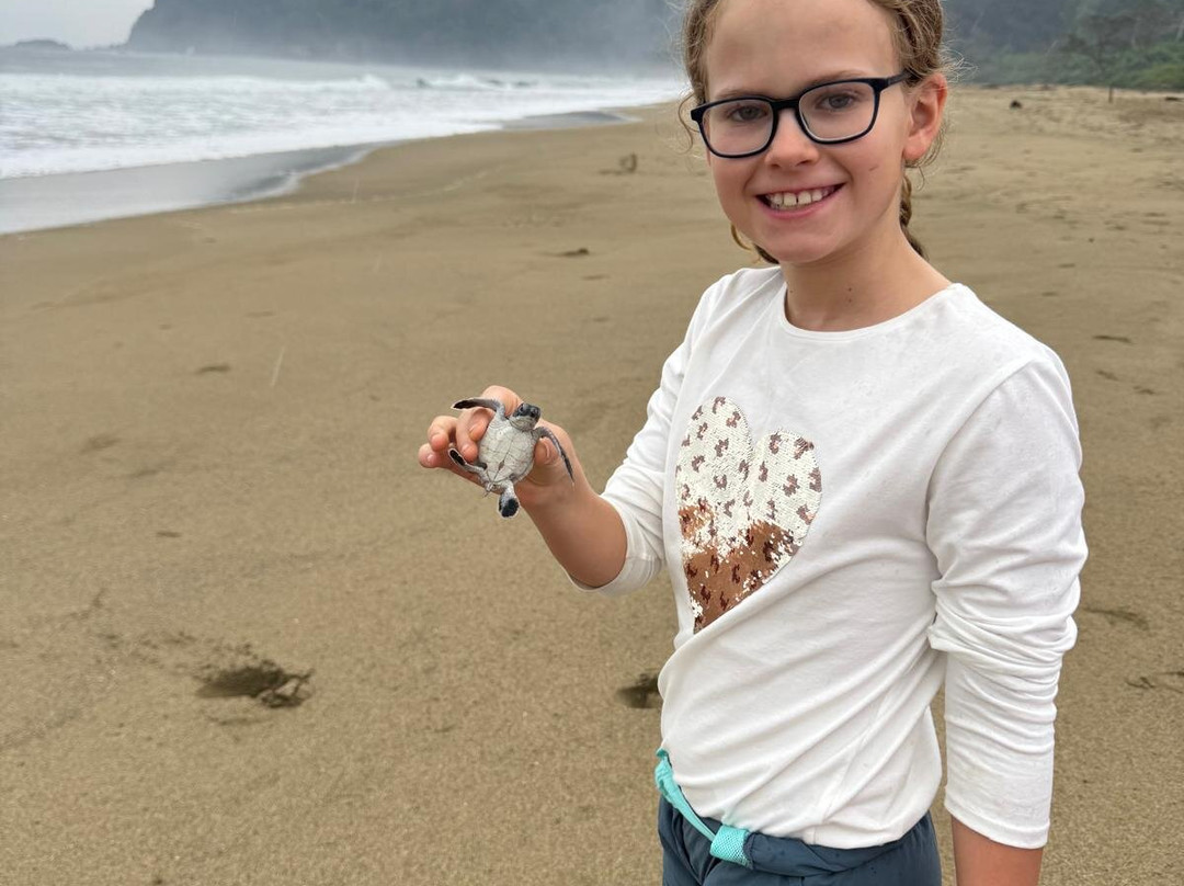 Jogja Explore Tours-日惹必去景点