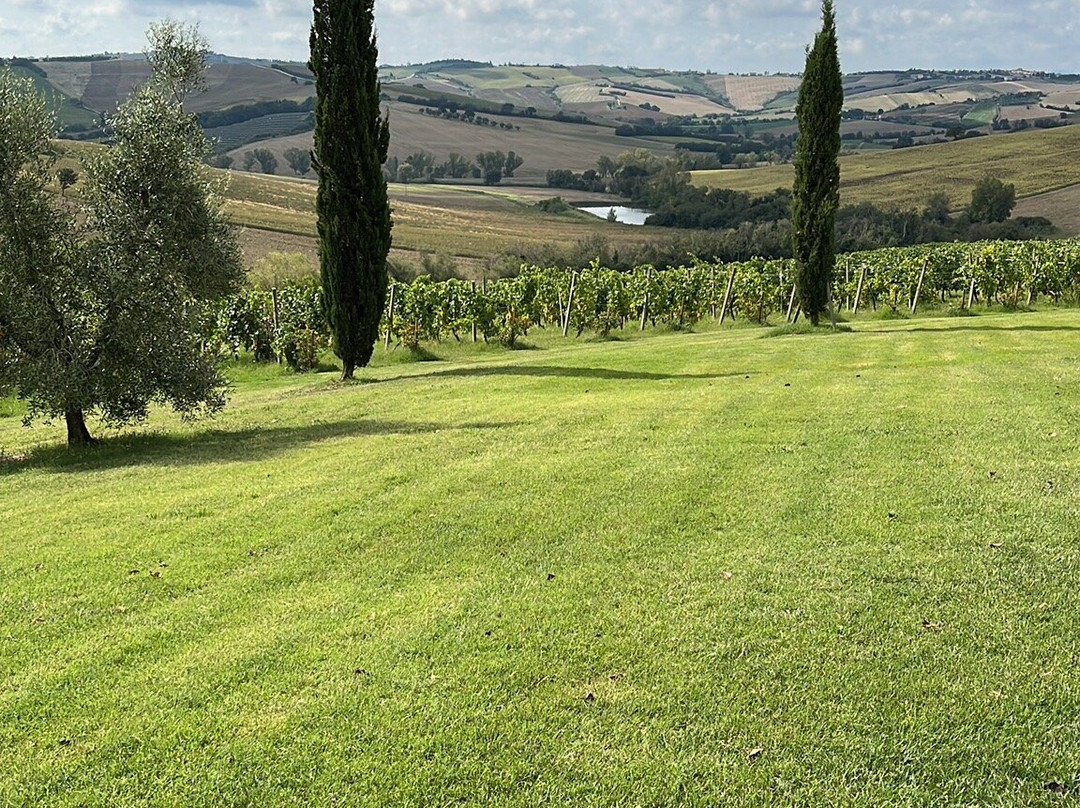 Azienda Agraria Guerrieri-Piagge必去景点