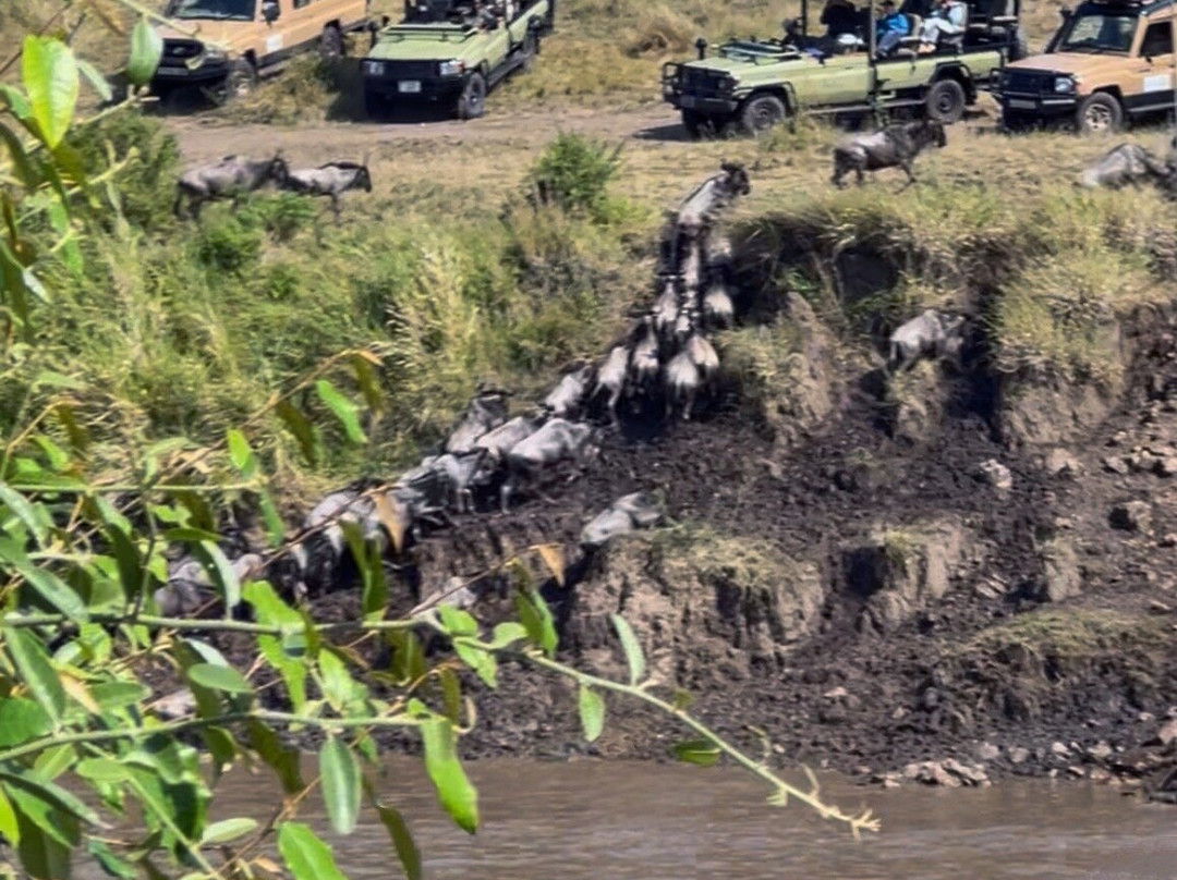 Travel Partners Safari-阿鲁沙必去景点