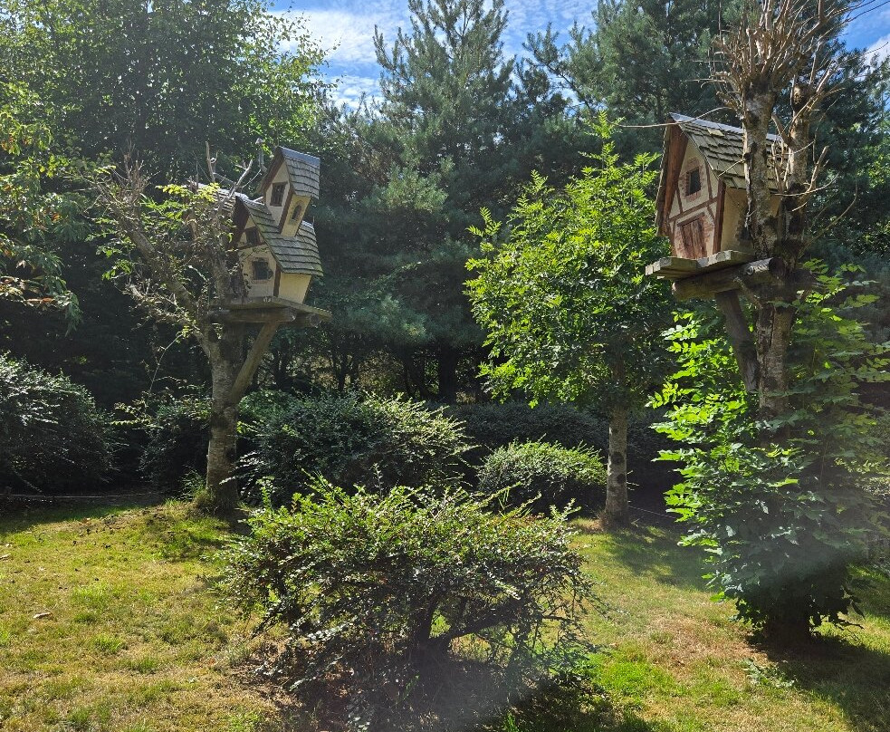 Hidden Valley The Puzzle Park-Egloskerry必去景点