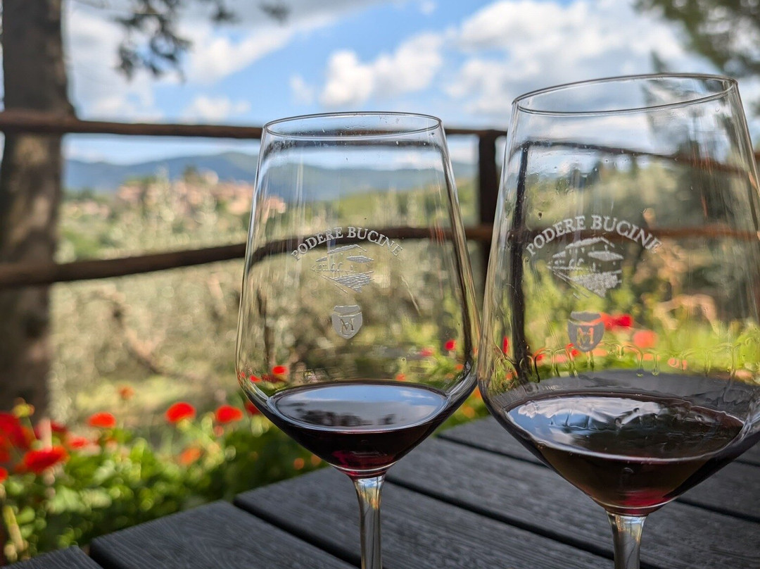 Podere Bucine Winery-格雷韦伊恩基亚恩蒂必去景点
