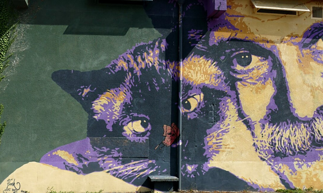 Street Art City-Lurcy-Levis必去景点