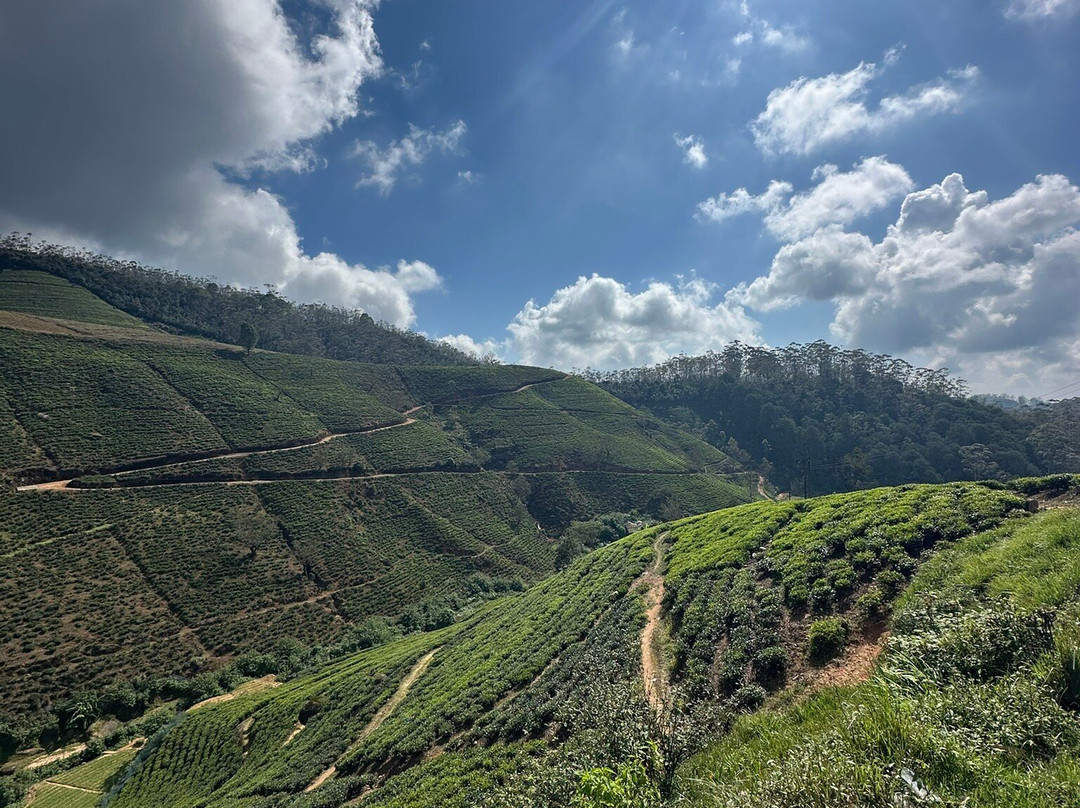 tuk tuk tk tours-Nanu Oya必去景点