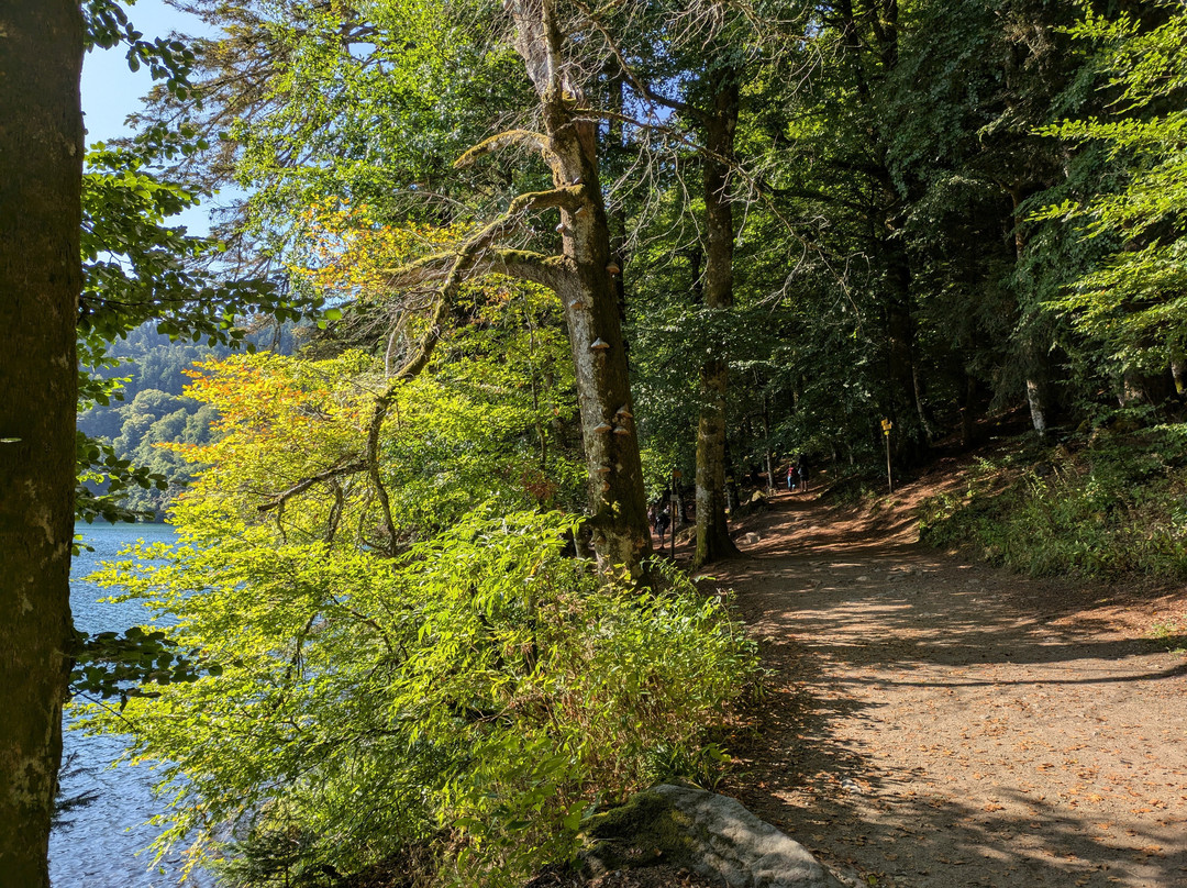 Lac Pavin-Besse-et-Saint-Anastaise必去景点