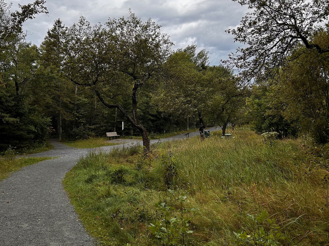 Parc des Chutes-Riviere du Loup必去景点