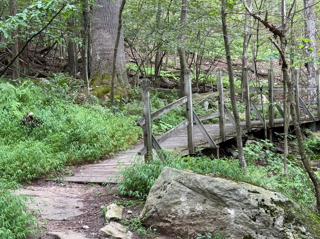 Deep Creek Lake State Park-Oakland必去景点