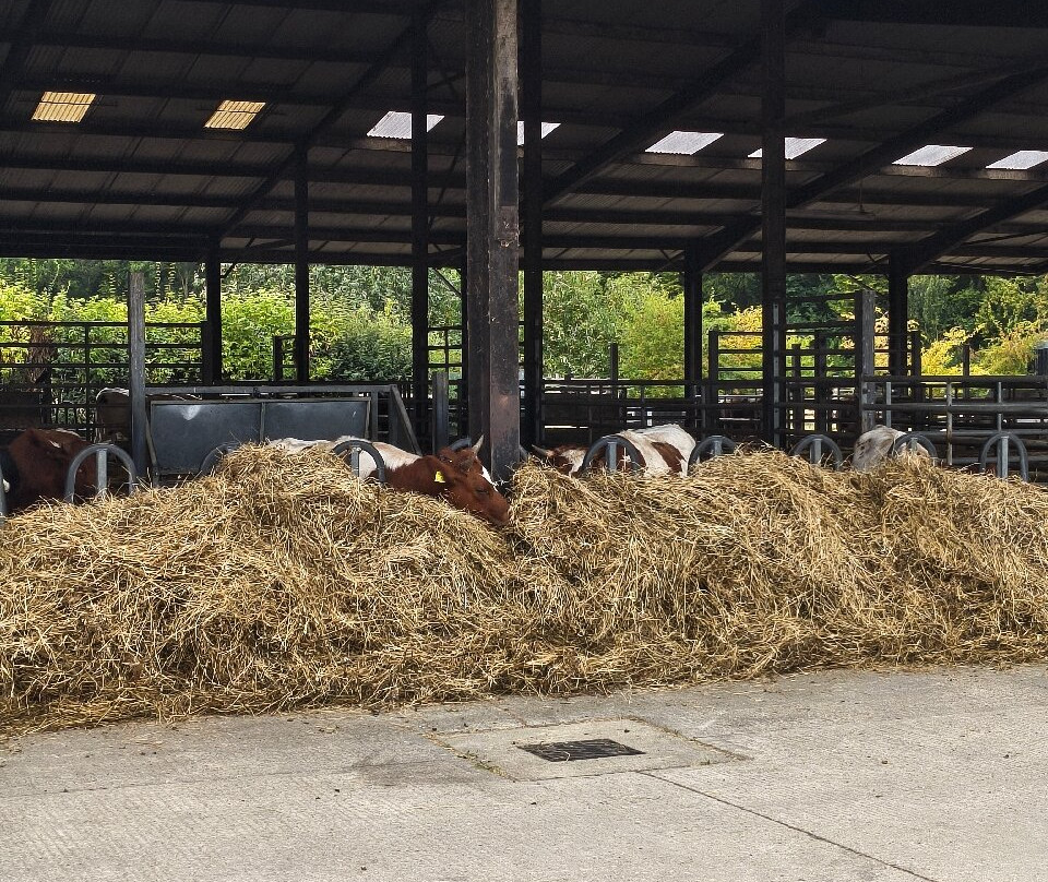 Wimpole Home Farm-Arrington必去景点