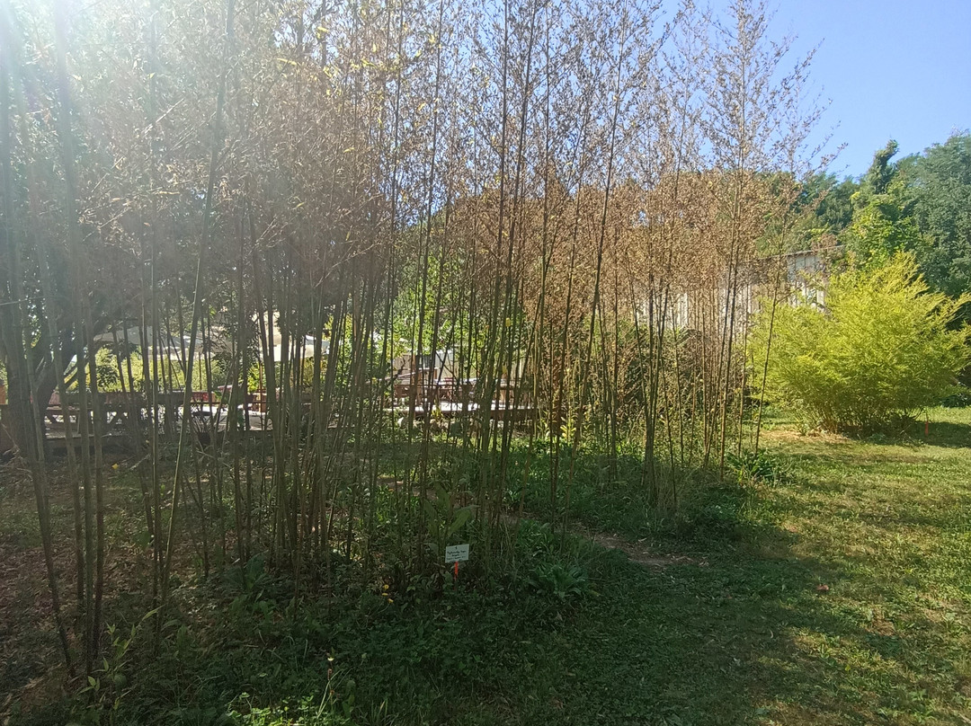 Les Jardins de Lornay-Lornay必去景点