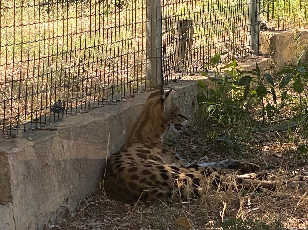 Zoa Parc Animalier et Botanique-滨海萨纳里必去景点