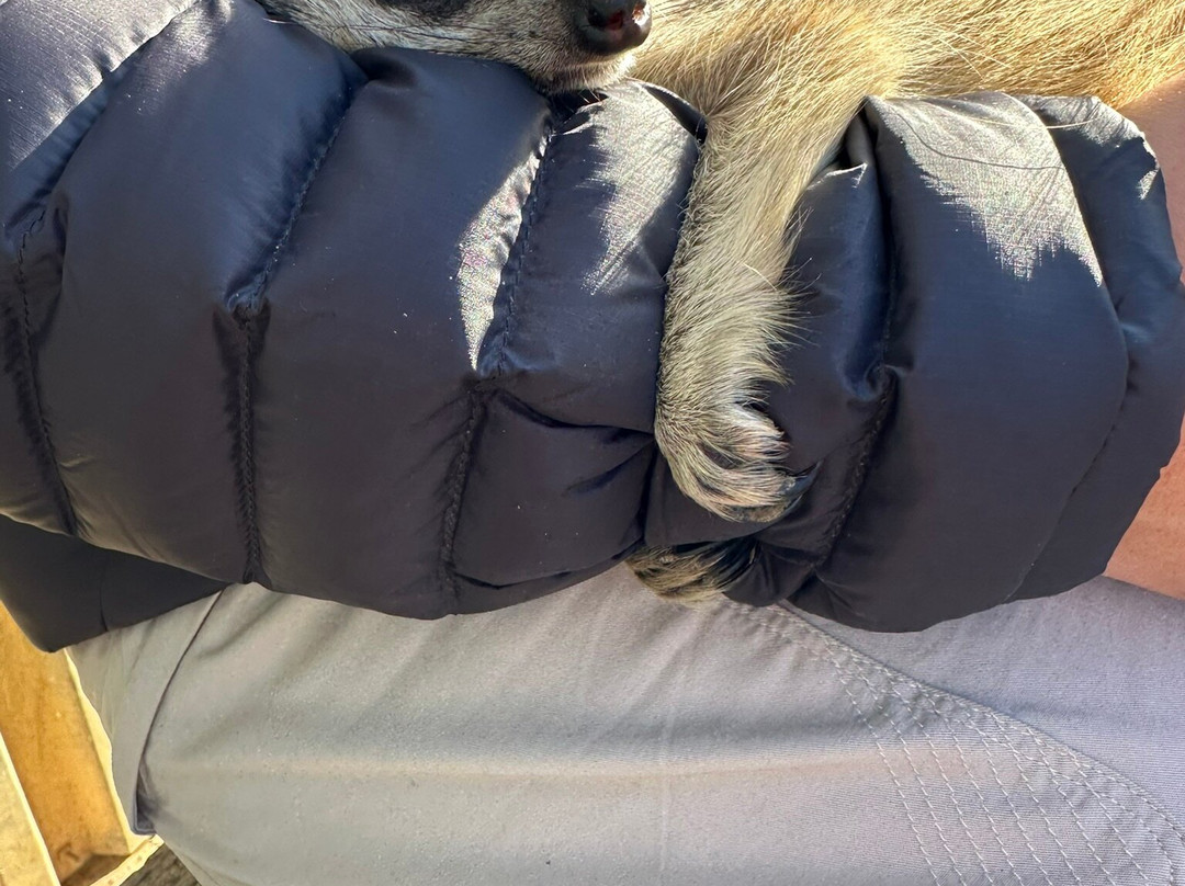 Cornell Skop-Botrivier必去景点