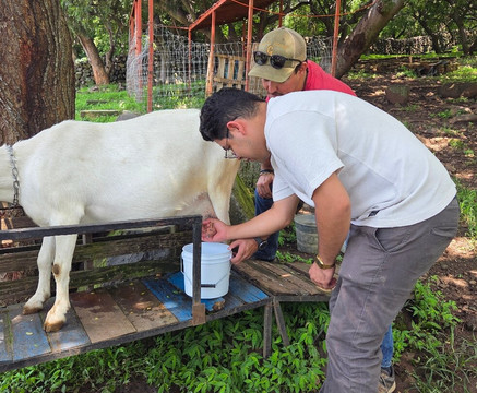Galo de Allende-Mezcala必去景点