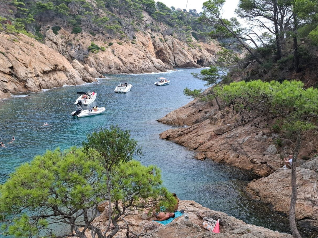 Cala Bona-多萨德马尔必去景点