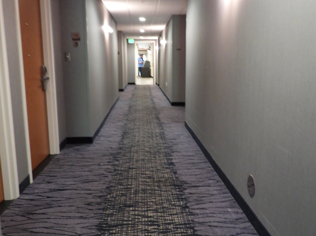 Fairfield by Marriott Inn & Suites Saratoga Malta主图