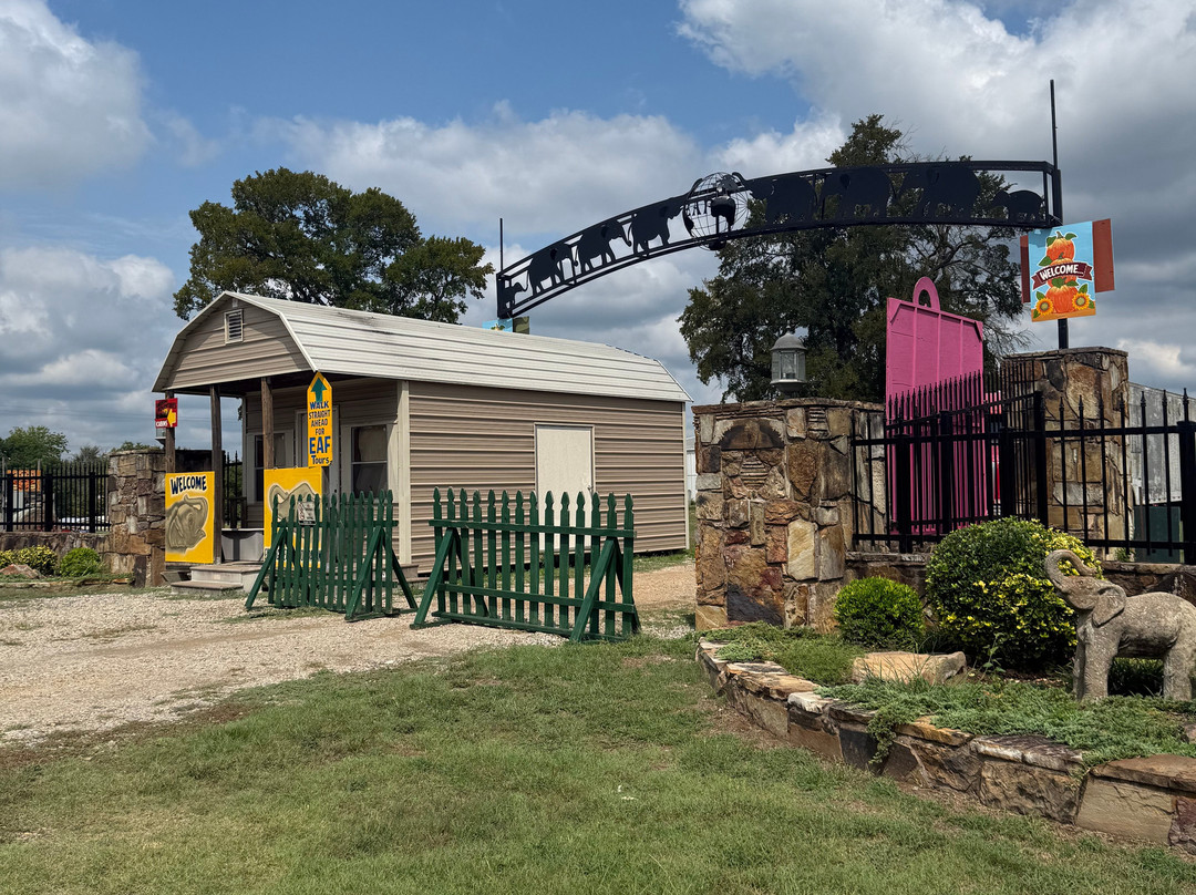 The Endangered Ark Foundation-Hugo必去景点