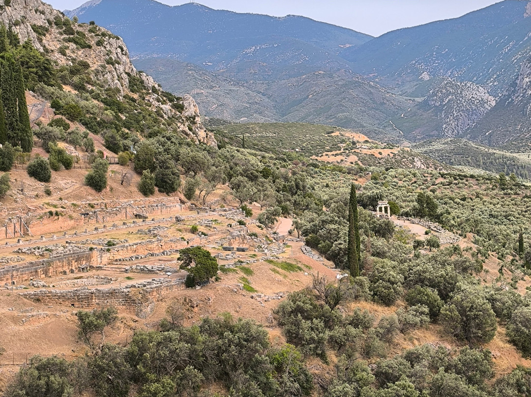 Tholos of Athena Pronaia-德尔斐必去景点