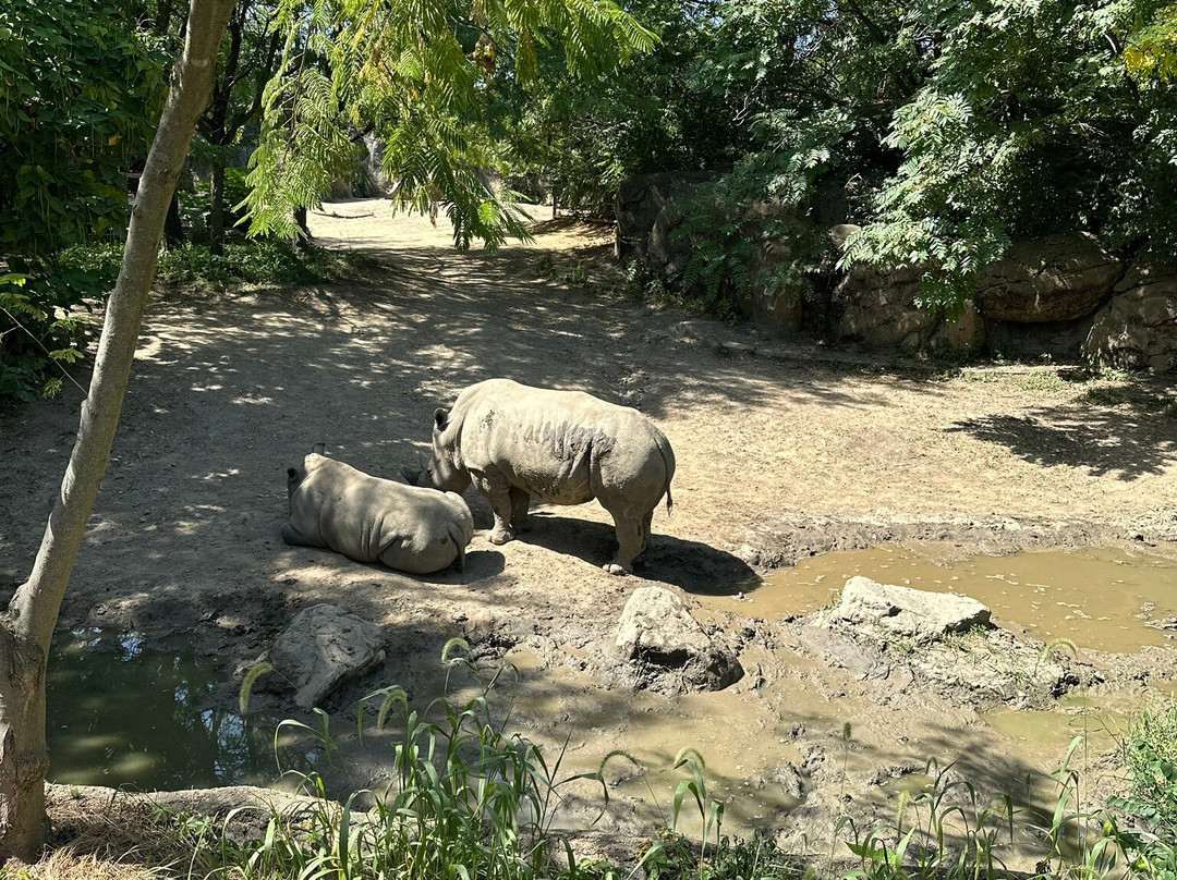 Indianapolis Zoo-印第安纳波利斯必去景点