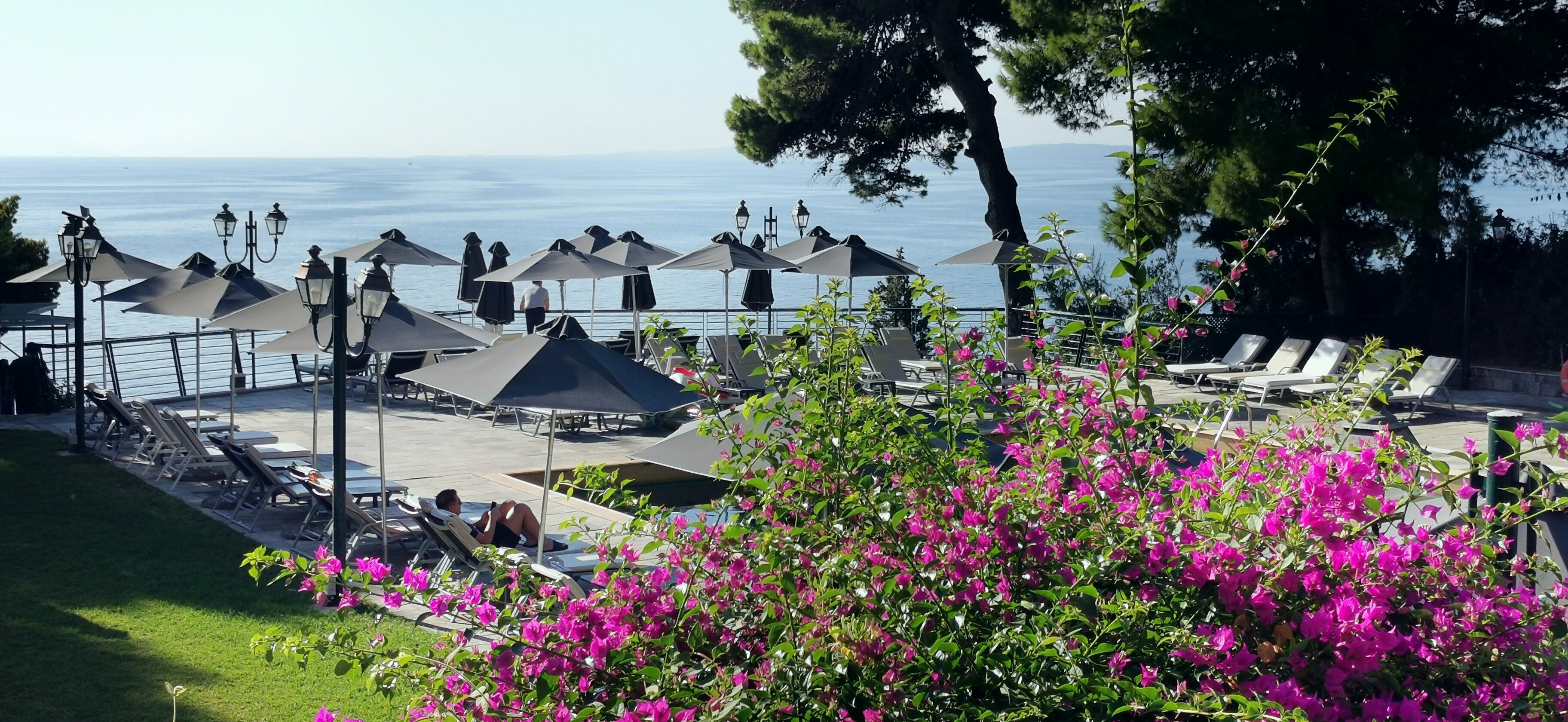 科孚宫酒店-泳池